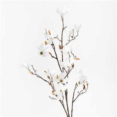 Magnolia Tree Spray White 115cml