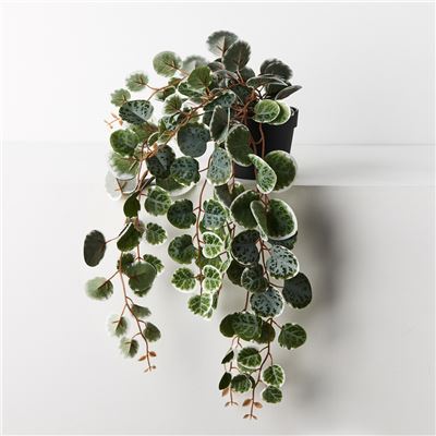 String of Hearts in Pot Green White 48cml
