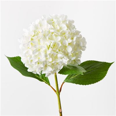 Hydrangea Stem 68cm White