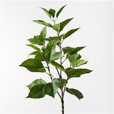 Hydrangea Leaf Spray 100cm Green