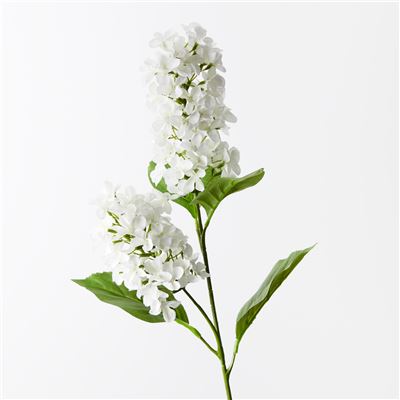 Hydrangea Cone Spray 77cm White
