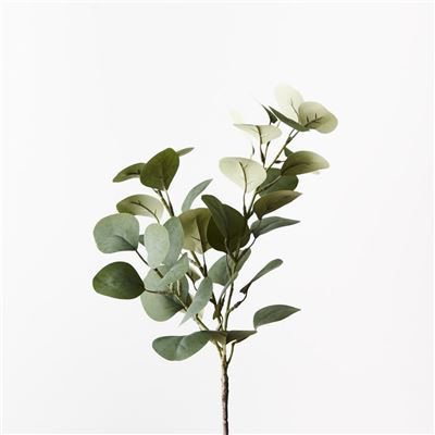 Eucalyptus Spray 40cm Grey/Green