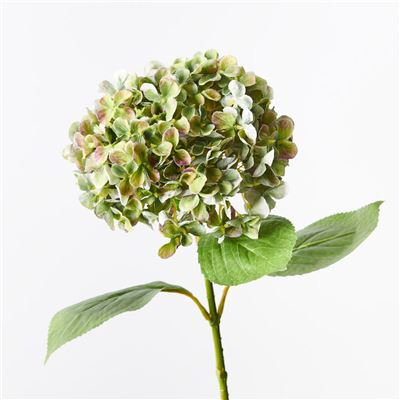 Hydrangea Stem 68cm Green/Purple