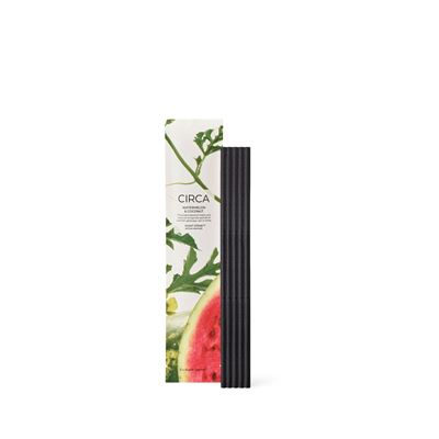 Coconut & Watermelon Scent Stems Refill 5pk