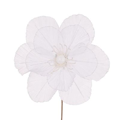 Sheer White Camellia