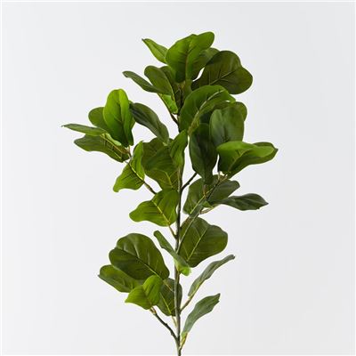 Fiddle Leaf Spray 100cm Green