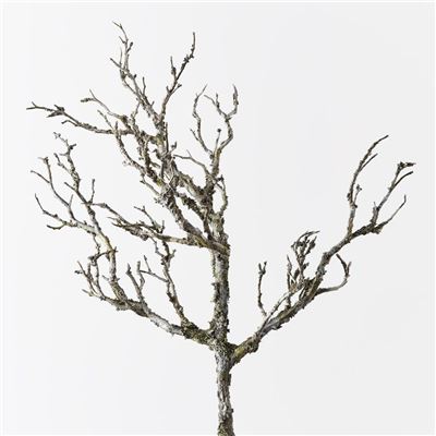 Twig Coral Branch 58cm Grey/Brown