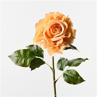 Rose Juliette 65x13cm Orange