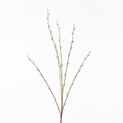 Pussy Willow Spray Natural 110cml