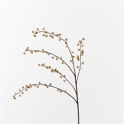 Berry Mini Spray Coffee